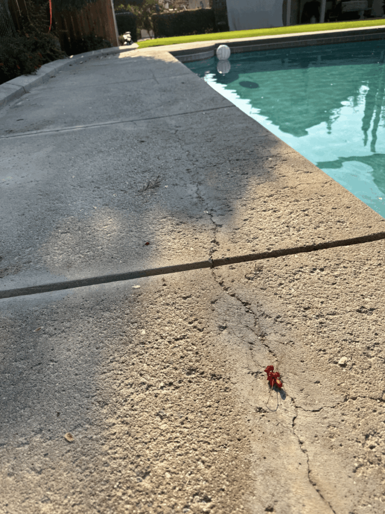 Close-up of concrete pitting and crack damage from salt water corrosion
